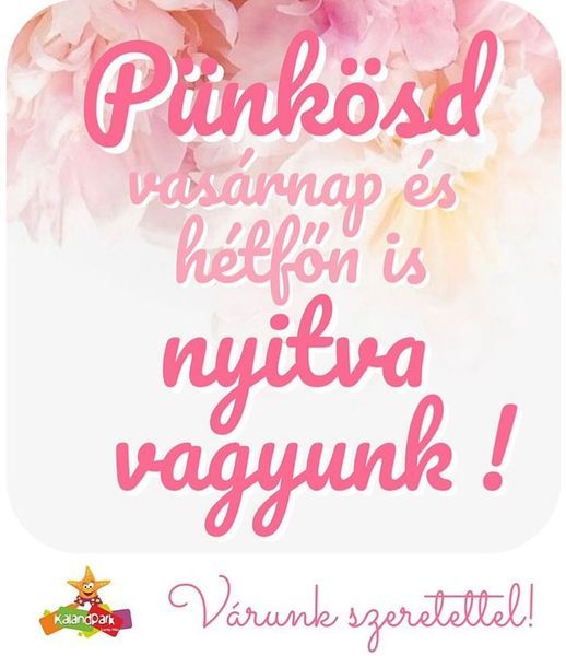 http://www.kalandpark-jatszohaz.hu/images/static/2024_punkosd.jpg